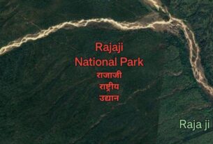 Appointment of new director of Rajaji National Park