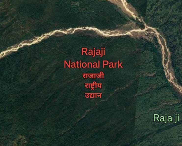 Appointment of new director of Rajaji National Park