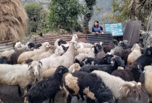 Gramottahan project is strengthening the livelihood of women in Chamoli